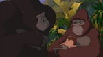 Kerchak: "Kala, it won't replace the one we lost."