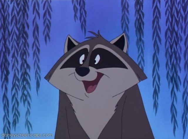 pocahontas raccoon