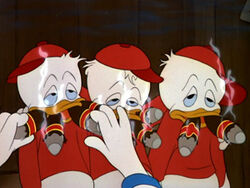 picture Donald Duck Smoking A Cigarette happy birthday disney wiki fandom