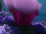 La Anémona (Finding Nemo)