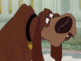 Fido