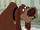 Fido