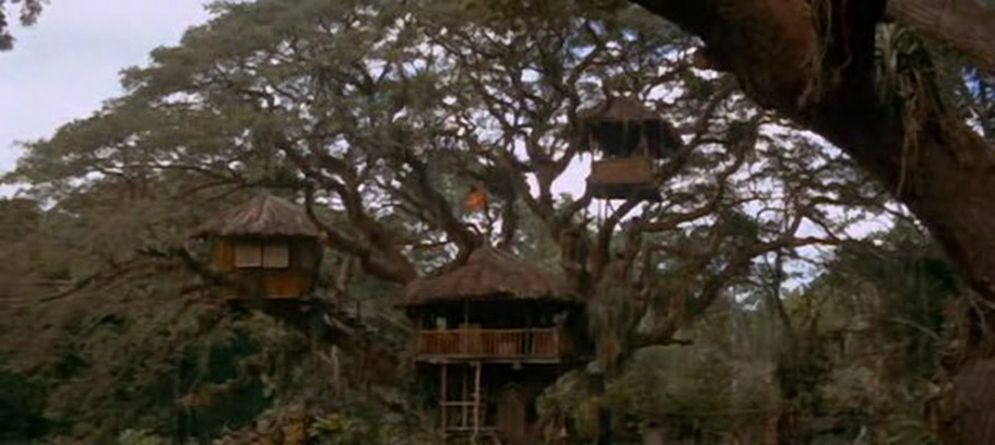 Swiss Family Treehouse Swiss Family Robinson Disney Wiki Fandom