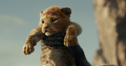 TheLionKingMovie2019