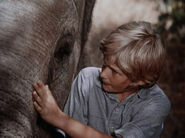 1970-elephant-02