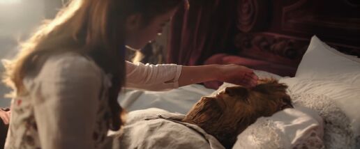 Belle nursing the Beast
