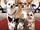 Beverly Hills Chihuahua 2 DVD.jpg