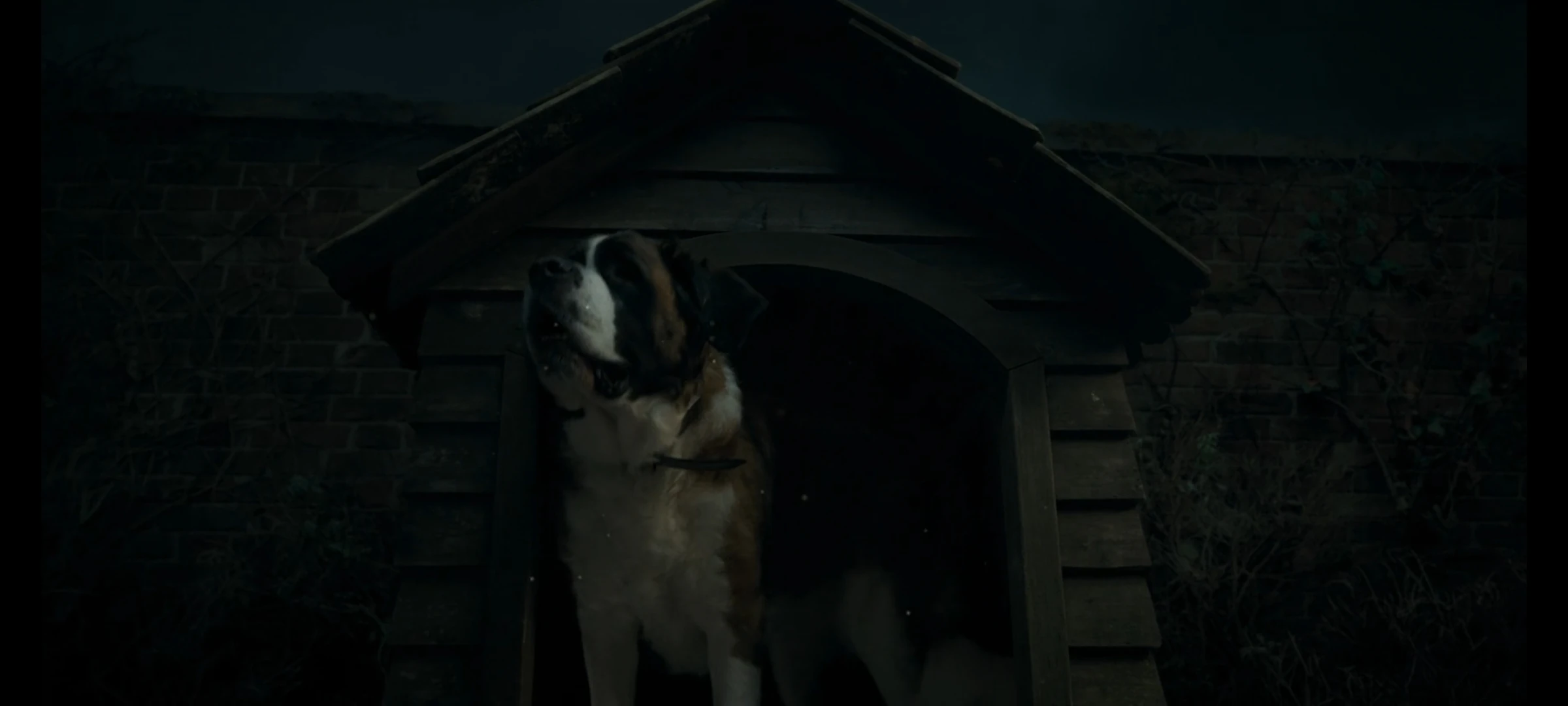 Nana | Disney Wiki | Fandom