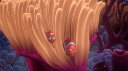 Sea Anemone.jpg