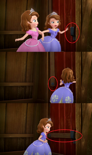 Sofia the Second barn door