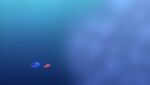 4kfindingnemo-animationscreencaps.com-4091