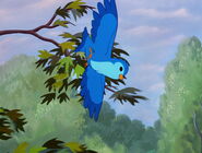 The bluebird from Bambi