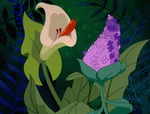 Alice-in-wonderland-disneyscreencaps.com-3541