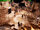 BATB Castle Ballroom Set.jpg