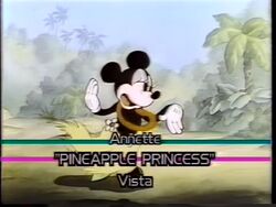 Dtv Disney Wiki Fandom Dtv Disney Wiki Fandom