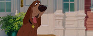 Lady-tramp-disneyscreencaps.com-1309