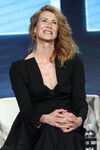 Laura Dern speaks at the Big Little Lies panel at the 2019 Winter TCA Tour.