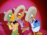 "The Three Caballeros"