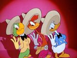 The Three Caballeros (canción)