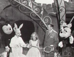Walt with Mickey, Minnie, Alice and the White Rabbit at the opening of the Alice in Wonderland attraction at Disneyland in 1958.