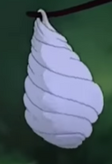 Capullo de la oruga