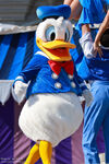Donald at Dreams Along with Mickey
