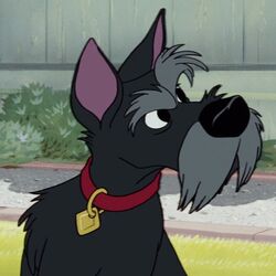 Lady and the tramp characters sale