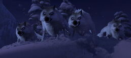 Wolves Frozen.jpg