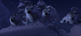 Wolves Frozen