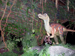 Animal Kingdom velociraptor