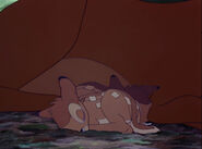 Bambi-disneyscreencaps.com-7895.jpg (179 КБ) Новорождённые спят