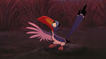 Zazu telling Simba that if he rejects Kovu, he isn't opposed