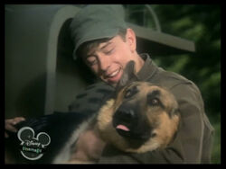 Chips the sale war dog