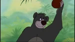 Baloo