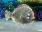 Mr. Johannsen (Finding Nemo)
