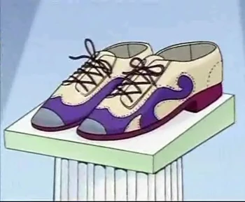 Shoes of Destiny