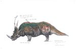 Styracosaurusdinosaur