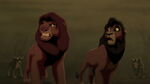 Kovu realizes too late that he and Simba have been led into an ambush unknowingly