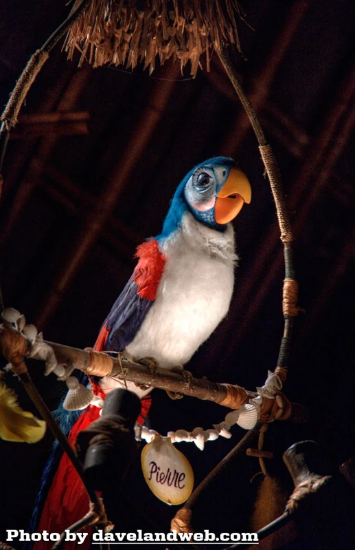 Pierre