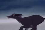 Bambi's mother escaping from Man