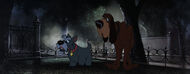 Lady-tramp-disneyscreencaps.com-8042