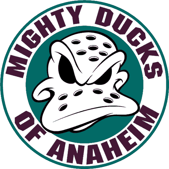 Anaheim Mighty Ducks 2005 Team Hockey Jerseys