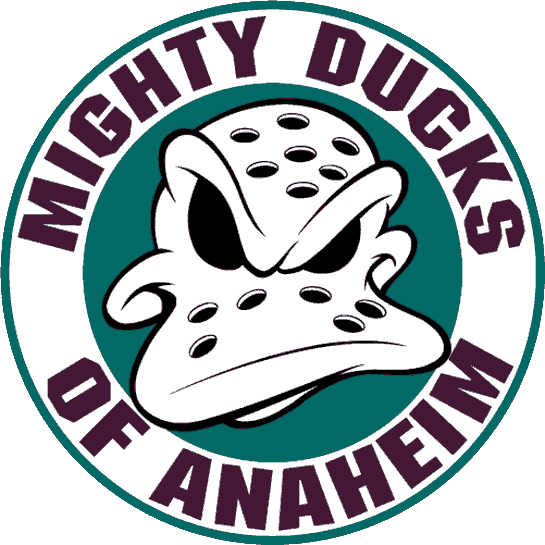 Mighty Ducks of Anaheim Customized Number Kit for 2003-2006 Home