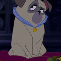 Percy Disney Wiki Fandom 1 information 2 strategy 3 skill level 4 videos. percy disney wiki fandom