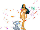 Meeko/Gallery