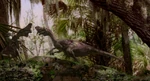 Dinosaur-disneyscreencaps com-458.jpg (433 KB)