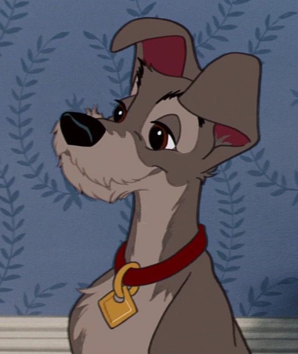 lady and the tramp dog collar