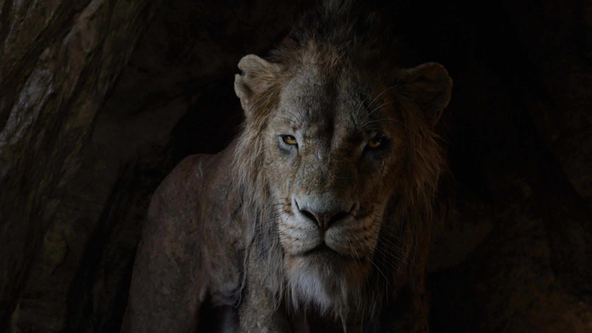 Watch A 'Real-Life Simba' Mount A Rock And Let Out An Epic Roar