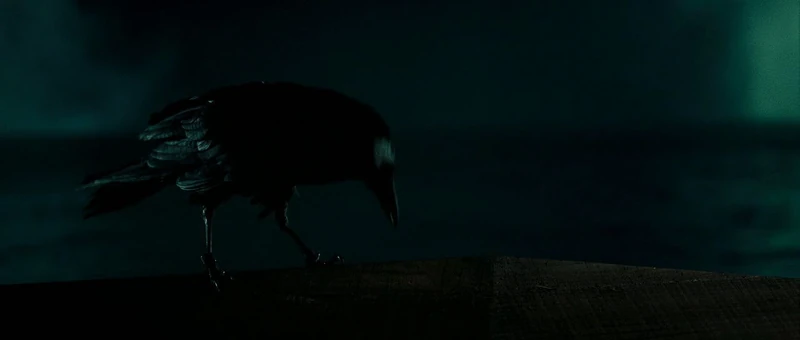 Prison Ravens