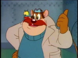 Profile - Monterey Jack